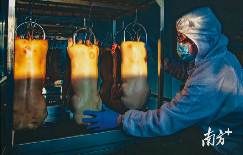 工业化生产烧乳猪半成品烧卤和酱熏产品开辟新赛道